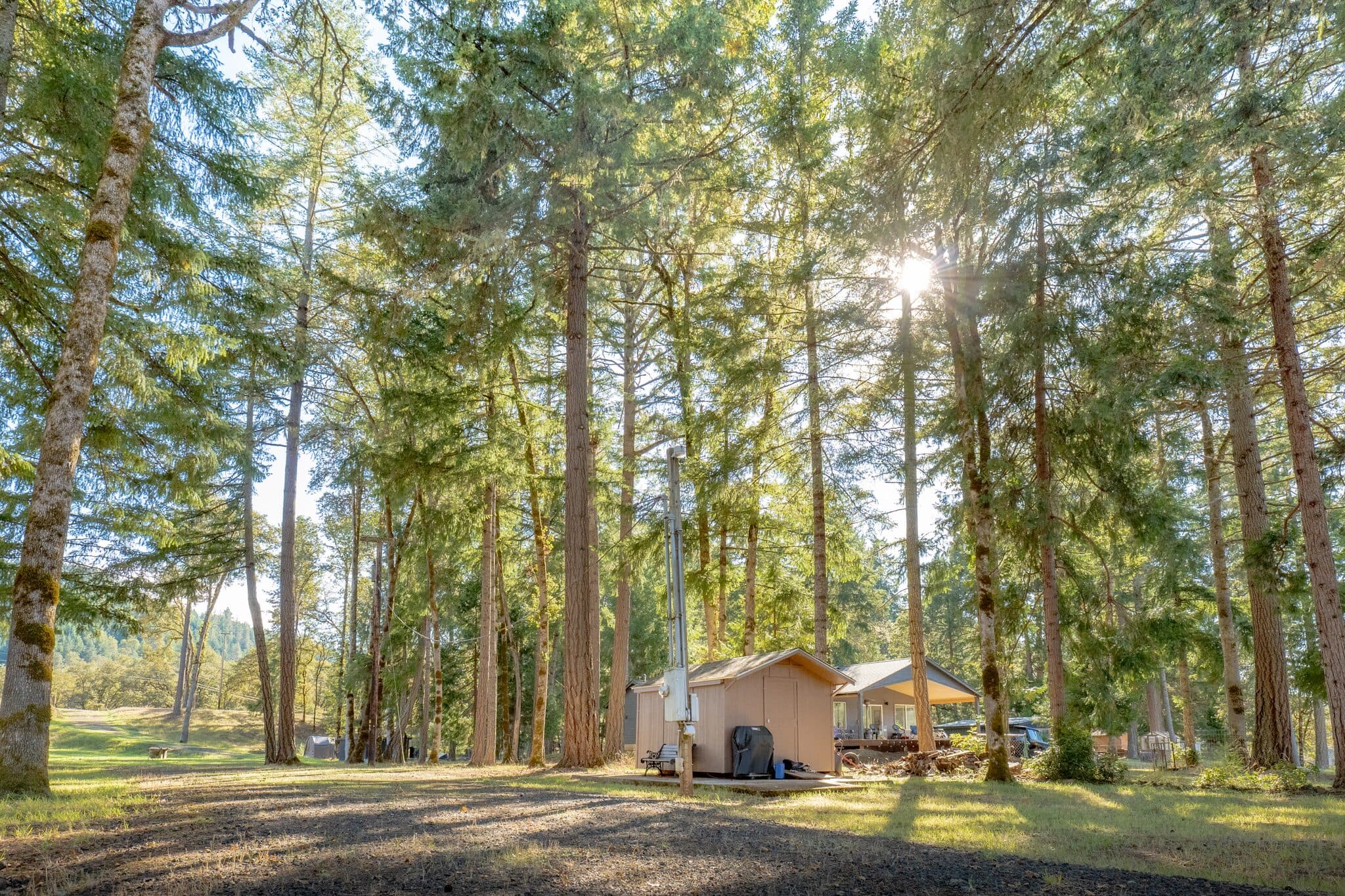 Wooded property with tall evergreen trees — real estate photography by Hahn Media, Oregon